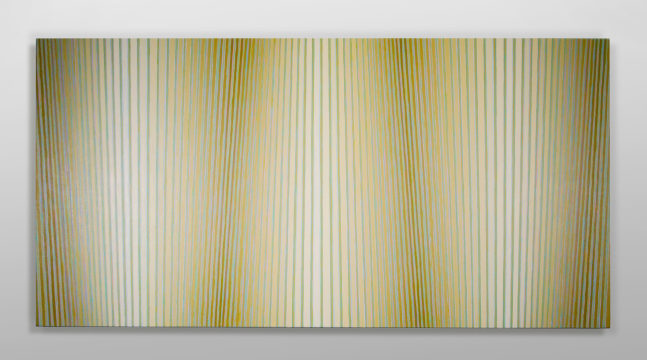 Jay Shinn Cellulose Tapestry 2, 2023 acrylic on canvas 36" x 72" x 2 1/2" JS 52 Moody Gallery
