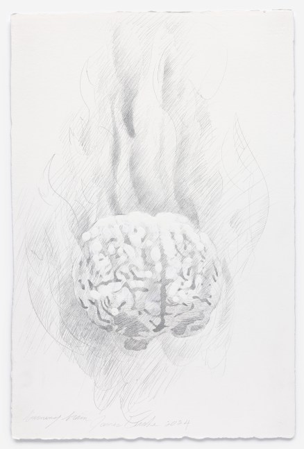 James Drake Burning Brain, 2024 silverpoint on gessoed paper 22 3/4" x 15" JD 361, Moody Gallery