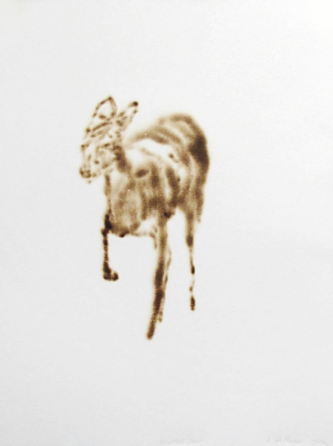 Helen Altman Startled Deer, 2012 torch drawing on paper 19" x 15" HA 397 Moody Gallery