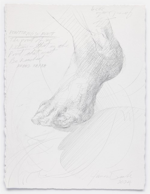 James Drake Pontormo's Foot, 2024 silverpoint on gessoed paper 15" x 11 1/2" JD 377, Moody Gallery