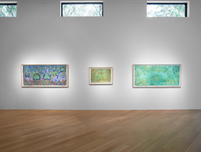 Liz Ward Earth's Eye, Installation View Moody Gallery May 10 - June 21, 2025