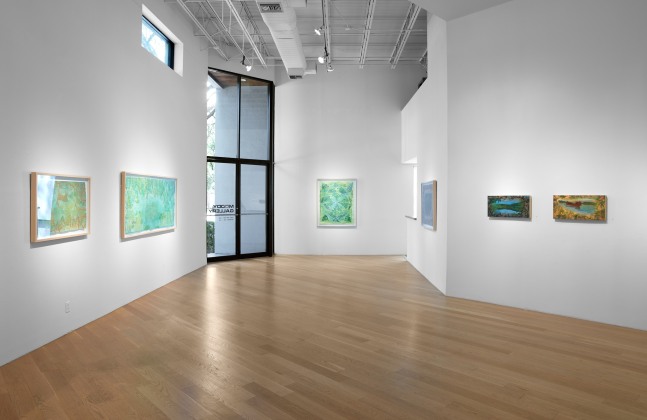 Liz Ward Earth's Eye, Installation View Moody Gallery May 10 - June 21, 2025