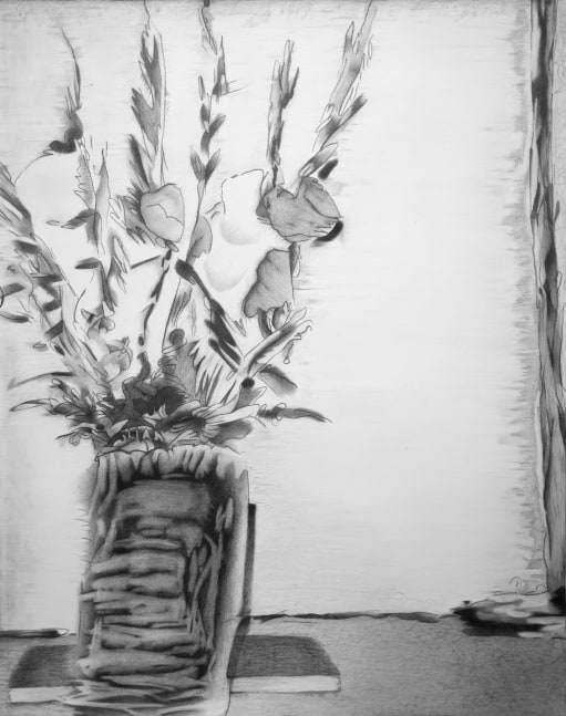 Michael Bise Gladiolus, a Book, and a Floor Lamp, 2017 graphite on paper 27" x 22 1/4" MB 93 Moody Gallery