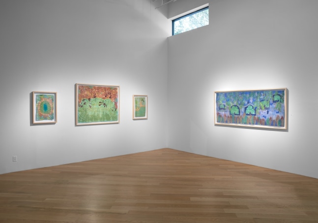 Liz Ward Earth's Eye, Installation View Moody Gallery May 10 - June 21, 2025