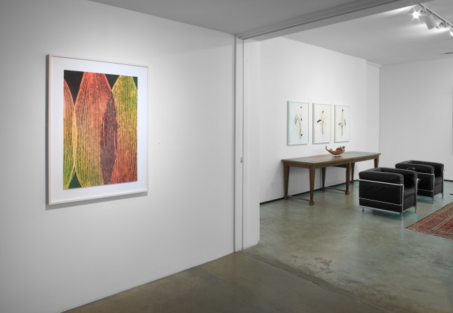 Dog Days of Summer Group Exhibition of Gallery Artists Installation View, Moody Gallery June 30 - August 9, 2025