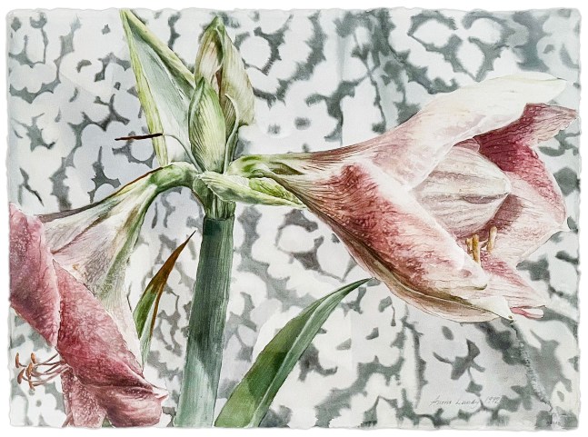 Anstis Lundy - &quot;Untitled&quot;, 1992 watercolor 22&quot; x 30&quot; MC 1176, Moody Gallery