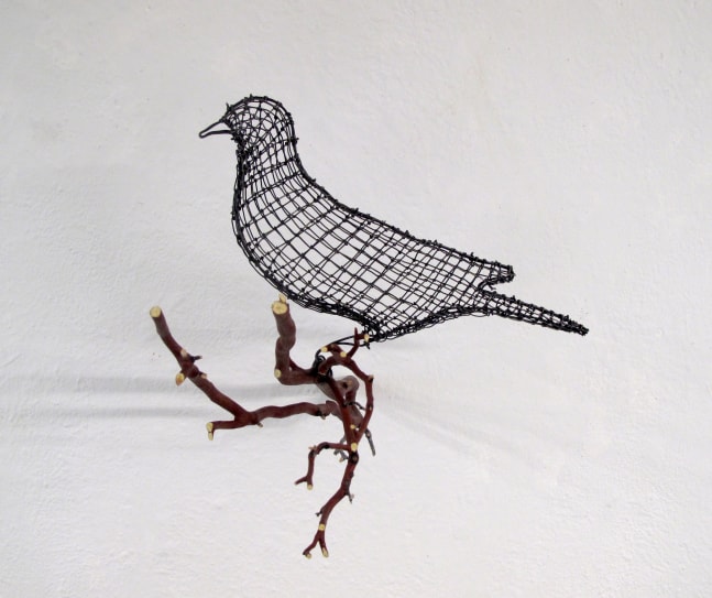 Helen Altman White Winged Dove (facing left), 2022 wire and Manzanita branch 11" x 13" x 13 1/2" HA 824 Moody gallery
