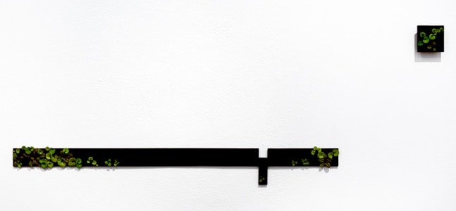 Page Kempner A Theoretical Framework, 2017 painted cast bronze 17 1/2" x 48" x 1/2" installed PK 420, Moody Gallery