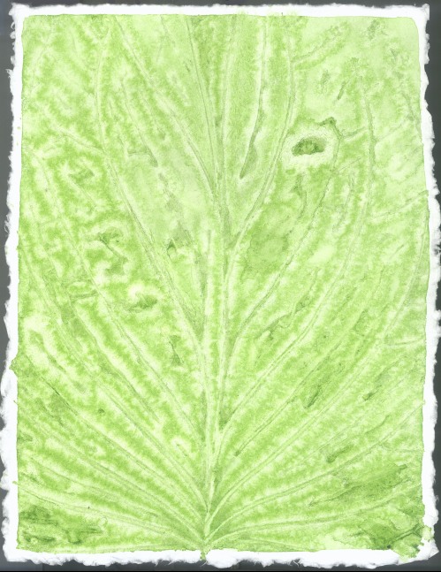 Liz Ward Specimen Days, 4, 2020 watercolor on paper 12 1/4" x 9” LW 274 Moody Gallery
