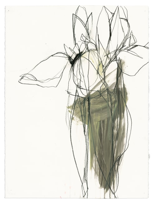 Andrea Rosenberg Untitled 26, 2022 mixed media on paper 33 3/4" x 26 1/4" AR 93 Moody Gallery