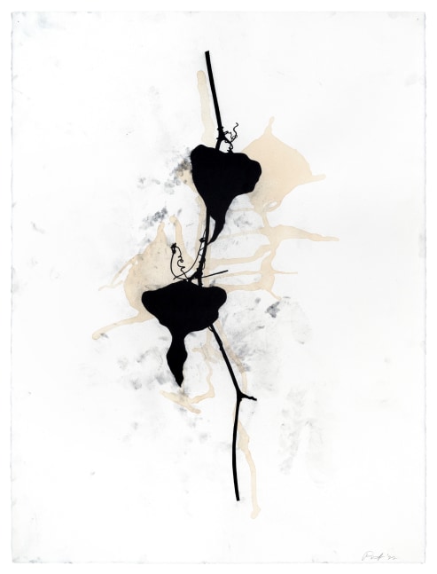 Randy Twaddle Vine #11, 2022 charcoal and coffee on paper 30" x 22 1/2" RT 440