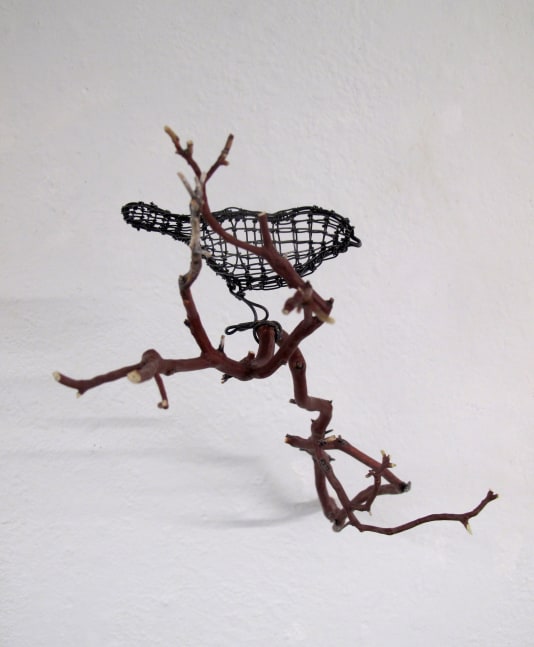Helen Altman
Chickadee high up on a branch, 2022
wire and Manzanita branch
11" x 8" x 14"
HA 831