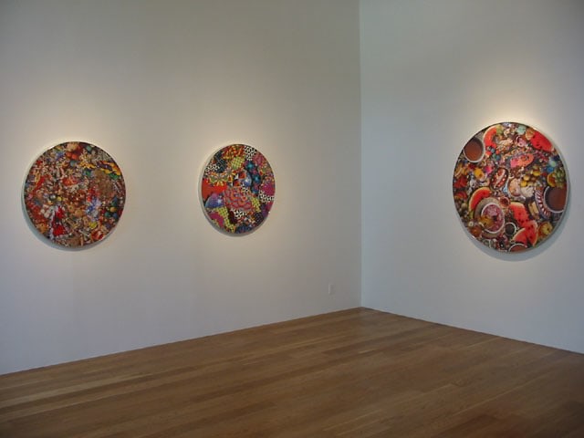 Al Souza
New Work, Installation View
Moody Gallery
2004