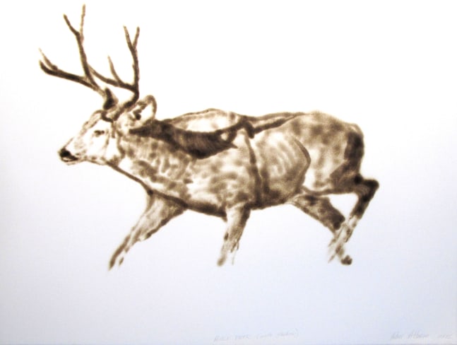 Helen Altman Mule Deer (with shadow), 2015 torch drawing on paper 22 1/2" x 30" HA 589 Moody Gallery
