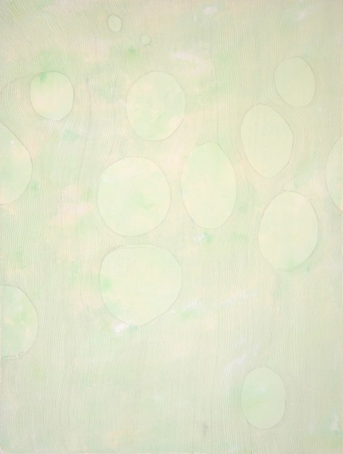 Liz Ward Tree Cell Study II, 2004 silverpoint, tinted gesso on paper 12 1/2" x 9 1/2" LW 158 Moody Gallery