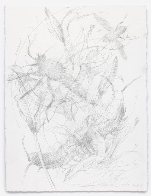 James Drake In that Evening Garden of Desire, 2024 silverpoint on gessoed paper 15" x 11 1/4" JD 356, Moody Gallery