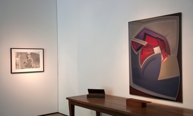 Group Exhibition of Gallery Artists
Installation View
Moody Gallery
February 25 - April 1, 2017