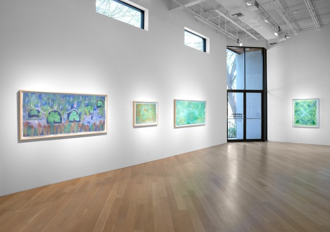 Liz Ward Earth's Eye, Installation View Moody Gallery May 10 - June 21, 2025