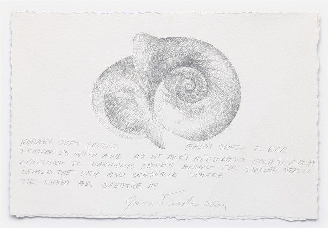 James Drake Natures Soft Sound, 2024 silverpoint on gessoed paper 7 3/4" x 11 1/2" JD 369, Moody Gallery
