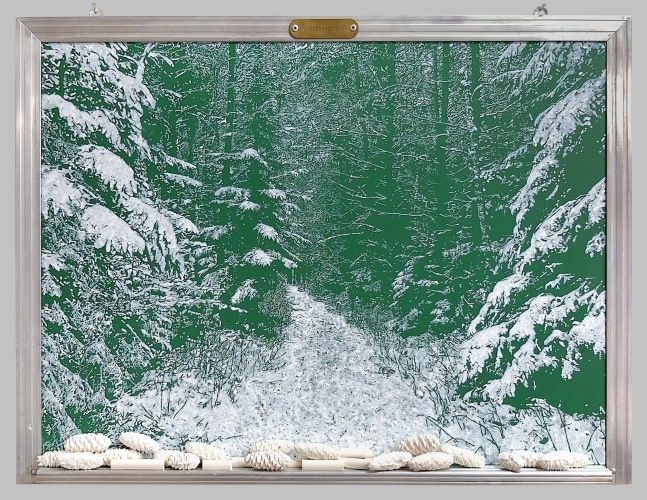 Helen Altman
Evergreen, 2023
acrylic on vintage chalkboard, cast plaster and chalk
18 1/2" x 24 1/4" x 2"
HA 836