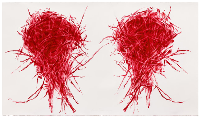 James Drake His and Hers Red Nest, 2025 red pastel on paper 42" x 72" JD 414