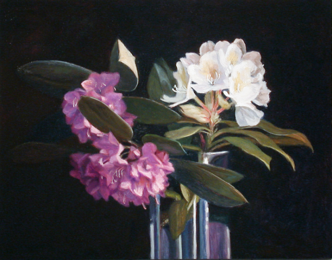 Jean Carruthers Wetta Rhodadendrons, 2011 oil on masonite 11" x 14" x 1" JCW 45 Moody gallery