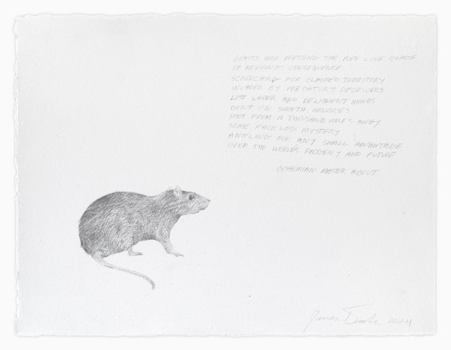James Drake Bohemian Master About, 2024 silverpoint on gessoed paper 11 1/2" x 15" JD 342, Moody Gallery