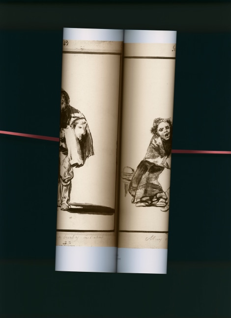 MANUAL (Hill &amp; Bloom) Goya: &quot;Lo yerras, si te bue [I]bes a casa; Muy acordes&quot;, 2010 archival pigment print, ed: 5 24&quot; x 17&quot; M 472 Moody Gallery