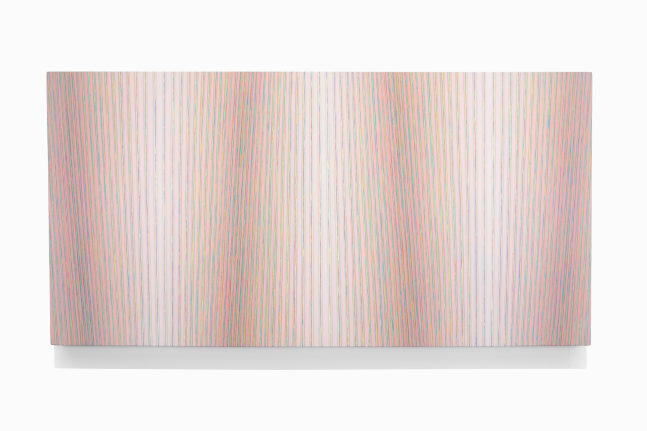 Jay Shinn Cellulose Tapestry 4 2024 acrylic on canvas 36" x 72" x 2 1/2"