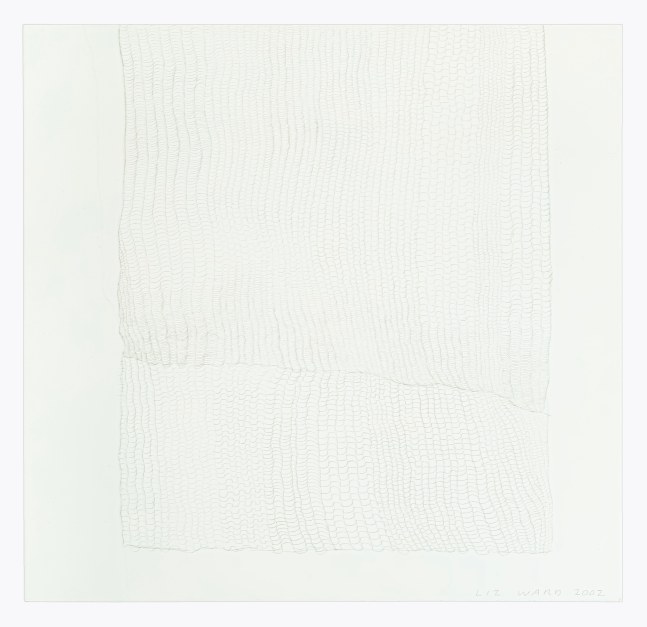 Liz Ward Small Fall, 2002 silverpoint on tinted gesso on paper 10 1/8" x 10 1/2" LW 339 $2,000