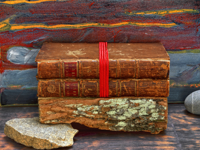 MANUAL (Hill & Bloom) On the Nature of Things (Lucretius), 2014 archival pigment print, ed: 5 17" x 23" M 572 Moody Gallery