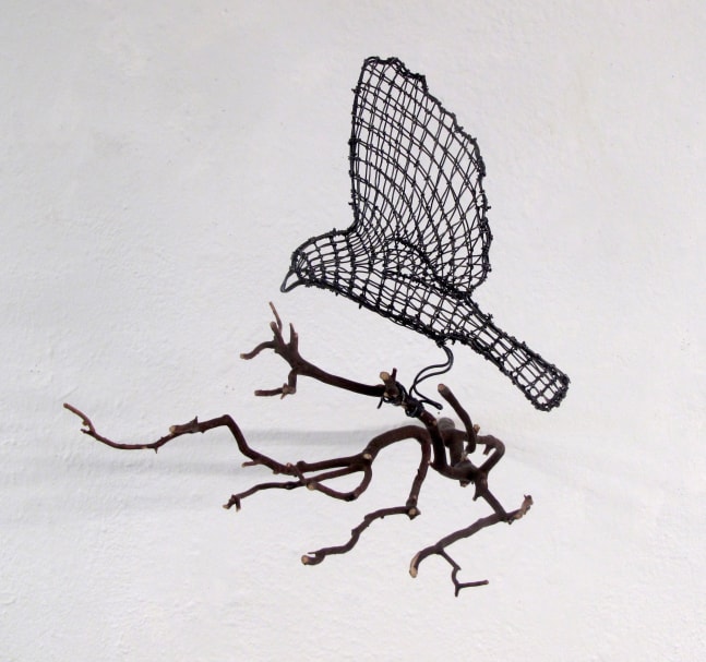 Helen Altman Landing Sparrow (facing left), 2022 wire and Manzanita branch 11" x 10" x 14" HA 826 Moody Gallery