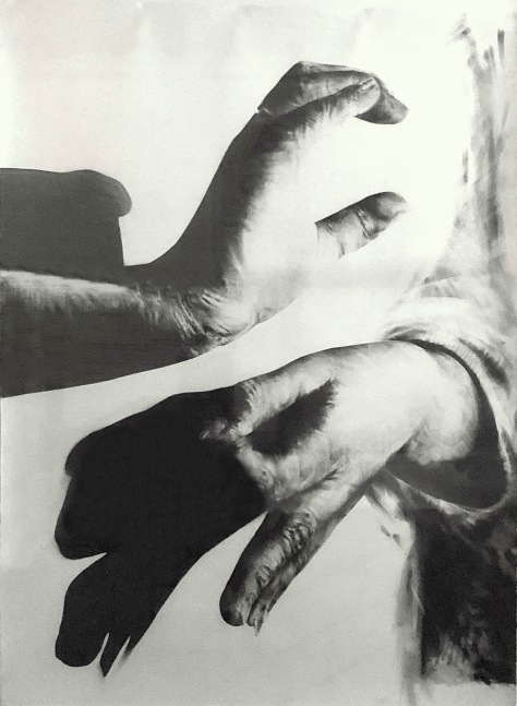 James Drake Tongue-Cut Sparrows, c. 1983 charcoal on paper approx. 80" x 60" framed Moody Gallery