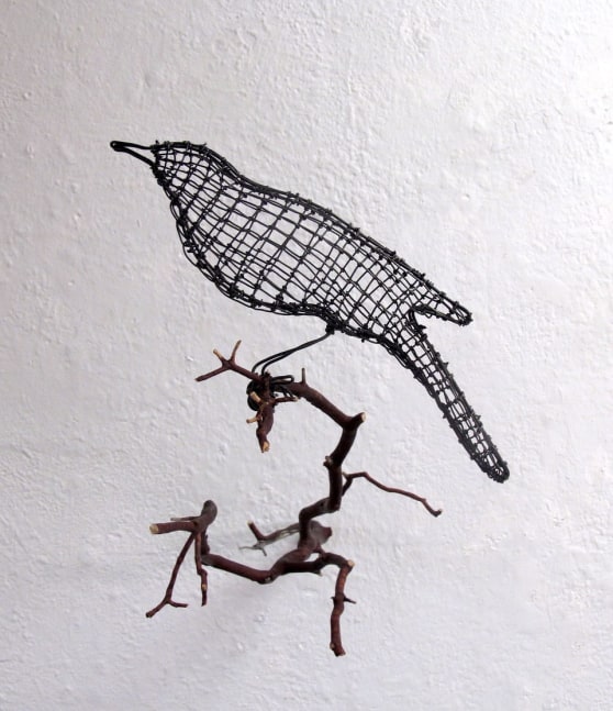 Helen Altman Mockingbird, 2022 wire, Manzanita branch 12" x 9" x 15" HA 805 Moody Gallery