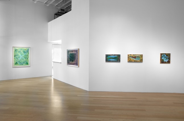 Liz Ward Earth's Eye, Installation View Moody Gallery May 10 - June 21, 2025