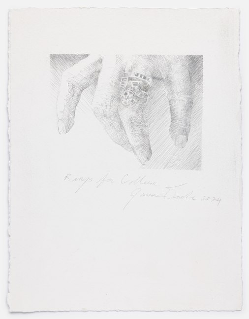 James Drake Rings for Colleen, 2024 silverpoint on gessoed paper 15" x 11 1/2" JD 352, Moody Gallery