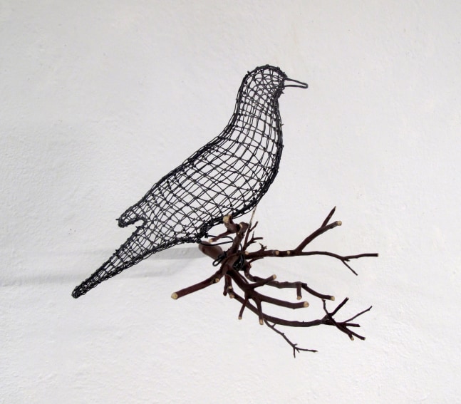 Helen Altman White Winged Dove (facing right), 2022 wire and Manzanita branch 12" x 14" x 14" HA 823 Moody gallery