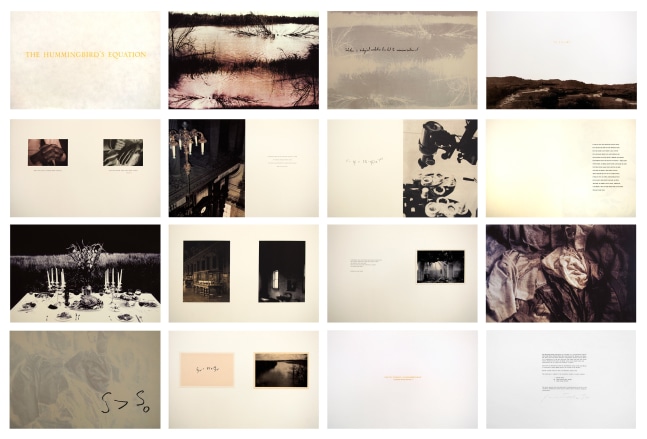 James Drake The Hummingbirds' Equation, 16 prints, ed: 18/20 14 1/2" x 22" each JD 1 Moody Gallery