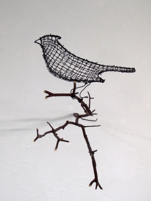 Helen Altman Cardinal (facing left), 2022 wire and Manzanita branch 13" x 10" x 18" HA 829 Moody Gallery