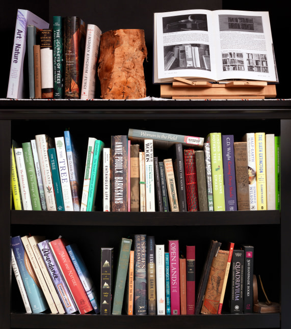 MANUAL (Hill & Bloom) Black Bookshelves with Beechwood, 2023 archival pigment print, ed: 5 35 1/4" x 31 1/8" M 661