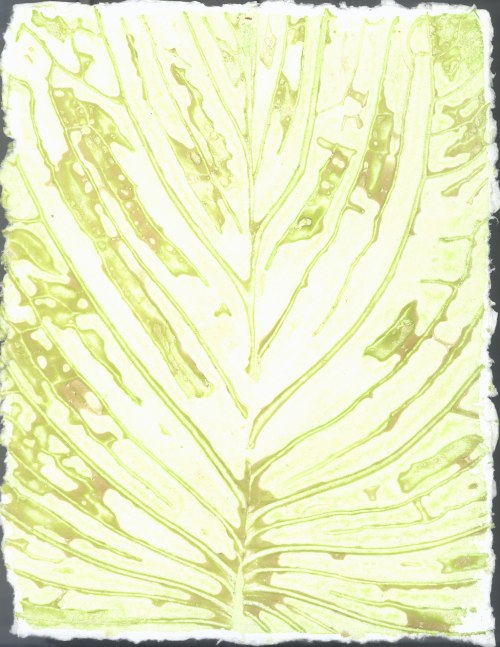 Liz Ward Specimen Days, 15, 2020 watercolor on paper 12 1/4" x 9” LW 285 Moody Gallery