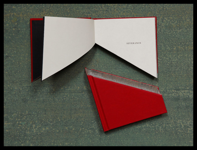 MANUAL (Hill & Bloom) Severance, 2010 archival pigment print, ed: 5 16 1/2" x 21" M 461 Moody Gallery