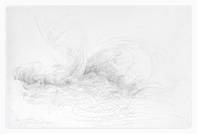 James Drake Drawing Water, 2024 silverpoint on gessoed paper 15" x 22 3/4" JD 344
