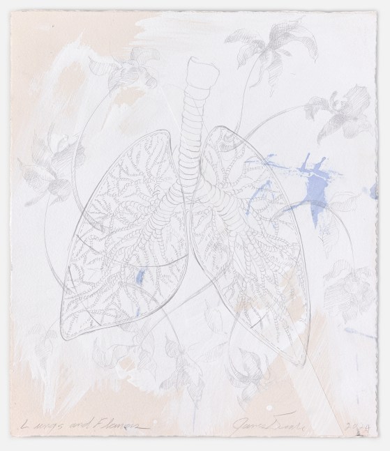 James Drake Lungs and Flowers, 2024 goldpoint, collage, and ink on gessoed paper 16 1/8'' x 13 3/4'' JD 402, Moody Gallery
