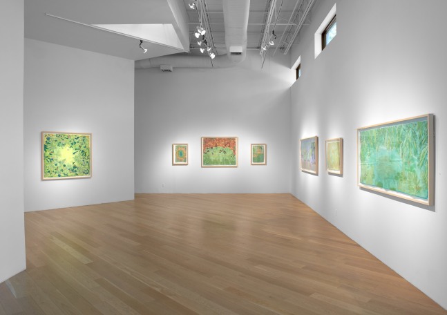 Liz Ward Earth's Eye, Installation View Moody Gallery May 10 - June 21, 2025