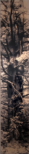 MANUAL (Hill & Bloom) Mother Tree, 1991 Type C photograph, mounted with laminate, ed: 1/1 unique 108" x 20" M 285