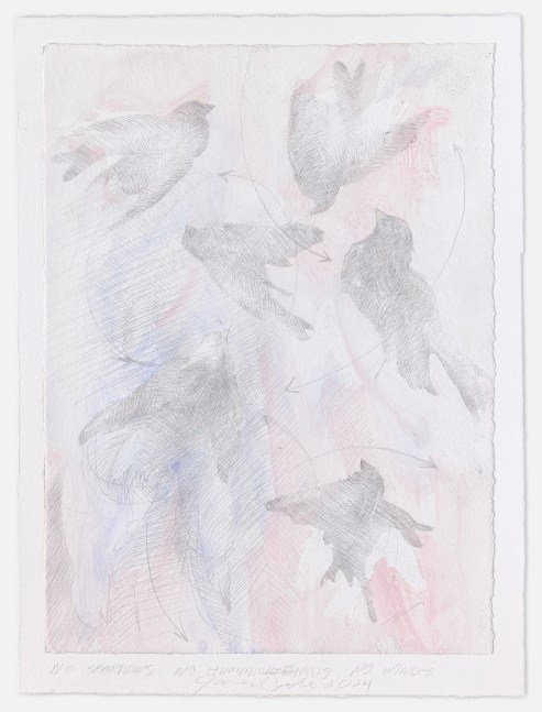 James Drake, No Sparrows, No Hummingbirds, No Wings, 2024 goldpoint, collage, and ink on gessoed paper 16 3/4'' x 12 5/8'' JD 399, Moody Gallery