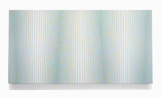 Jay Shinn Cellulose Tapestry 5, 2024 acrylic on canvas 36" x 72" x 2 1/2" JS 55 Moody Gallery