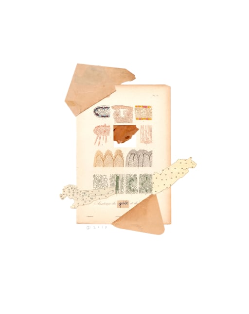 Jerry Jeanmard Untitled, 2019 collage on paper 24" x 19" JJ 253 Moody Gallery