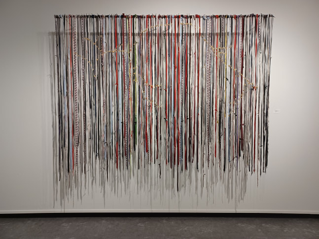 Sherry Tseng Hill in their footsteps, 2023 shoelaces dipped in the Rio Grand River, enamel paint 78" x 94" STH 52 Moody Gallery